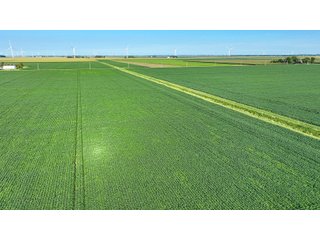 Property photo 5 - FARM LAND AUCTION - 78+/- ACRES OFFERED IN 2 TRACTS IN PAULDING COUNTY, OHIO