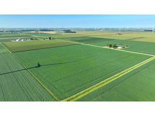 Property photo 6 - FARM LAND AUCTION - 78+/- ACRES OFFERED IN 2 TRACTS IN PAULDING COUNTY, OHIO