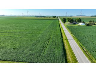 Property photo 7 - FARM LAND AUCTION - 78+/- ACRES OFFERED IN 2 TRACTS IN PAULDING COUNTY, OHIO