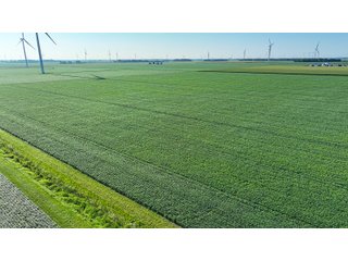 Property photo 8 - FARM LAND AUCTION - 78+/- ACRES OFFERED IN 2 TRACTS IN PAULDING COUNTY, OHIO