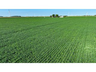 Property photo 9 - FARM LAND AUCTION - 78+/- ACRES OFFERED IN 2 TRACTS IN PAULDING COUNTY, OHIO
