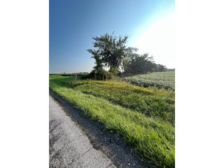 Property photo 25 - LAND AUCTION - 180+/- ACRES OFFERED IN 10 TRACT IN WILLIAMS COUNTY, OHIO