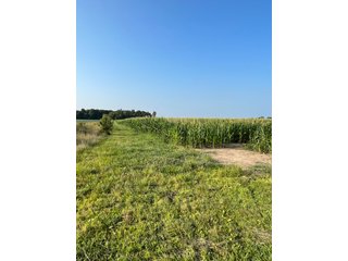 Property photo 26 - LAND AUCTION - 180+/- ACRES OFFERED IN 10 TRACT IN WILLIAMS COUNTY, OHIO