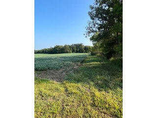 Property photo 27 - LAND AUCTION - 180+/- ACRES OFFERED IN 10 TRACT IN WILLIAMS COUNTY, OHIO