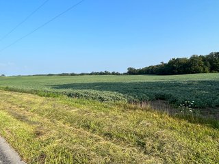 Property photo 28 - LAND AUCTION - 180+/- ACRES OFFERED IN 10 TRACT IN WILLIAMS COUNTY, OHIO