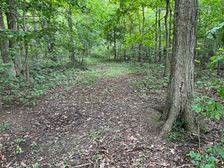 Property photo 36 - LAND AUCTION - 180+/- ACRES OFFERED IN 10 TRACT IN WILLIAMS COUNTY, OHIO