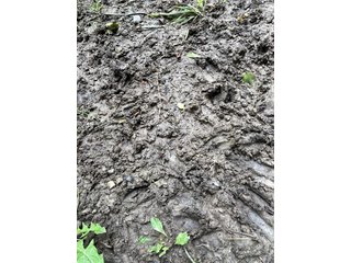 Property photo 40 - LAND AUCTION - 180+/- ACRES OFFERED IN 10 TRACT IN WILLIAMS COUNTY, OHIO