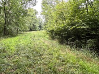 Property photo 41 - LAND AUCTION - 180+/- ACRES OFFERED IN 10 TRACT IN WILLIAMS COUNTY, OHIO