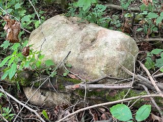 Property photo 42 - LAND AUCTION - 180+/- ACRES OFFERED IN 10 TRACT IN WILLIAMS COUNTY, OHIO