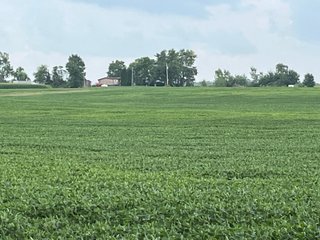 Property photo 43 - LAND AUCTION - 180+/- ACRES OFFERED IN 10 TRACT IN WILLIAMS COUNTY, OHIO