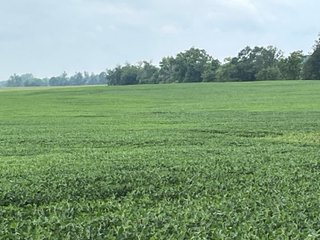 Property photo 44 - LAND AUCTION - 180+/- ACRES OFFERED IN 10 TRACT IN WILLIAMS COUNTY, OHIO