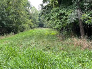 Property photo 45 - LAND AUCTION - 180+/- ACRES OFFERED IN 10 TRACT IN WILLIAMS COUNTY, OHIO