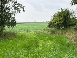 Property photo 46 - LAND AUCTION - 180+/- ACRES OFFERED IN 10 TRACT IN WILLIAMS COUNTY, OHIO