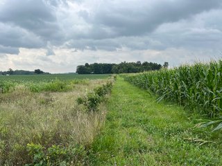 Property photo 47 - LAND AUCTION - 180+/- ACRES OFFERED IN 10 TRACT IN WILLIAMS COUNTY, OHIO