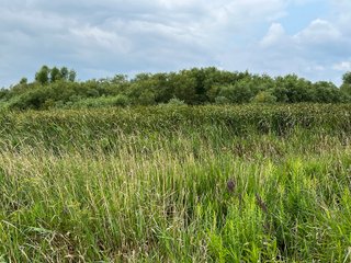 Property photo 48 - LAND AUCTION - 180+/- ACRES OFFERED IN 10 TRACT IN WILLIAMS COUNTY, OHIO