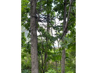 Property photo 50 - LAND AUCTION - 180+/- ACRES OFFERED IN 10 TRACT IN WILLIAMS COUNTY, OHIO