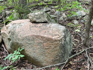 Property photo 51 - LAND AUCTION - 180+/- ACRES OFFERED IN 10 TRACT IN WILLIAMS COUNTY, OHIO