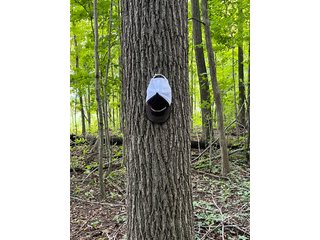 Property photo 53 - LAND AUCTION - 180+/- ACRES OFFERED IN 10 TRACT IN WILLIAMS COUNTY, OHIO