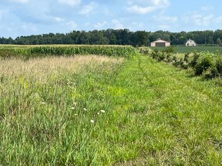 Property photo 55 - LAND AUCTION - 180+/- ACRES OFFERED IN 10 TRACT IN WILLIAMS COUNTY, OHIO