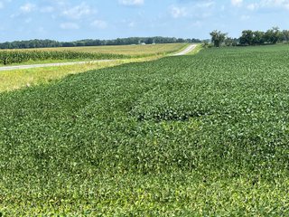 Property photo 58 - LAND AUCTION - 180+/- ACRES OFFERED IN 10 TRACT IN WILLIAMS COUNTY, OHIO