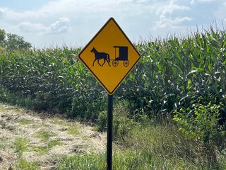Property photo 60 - LAND AUCTION - 180+/- ACRES OFFERED IN 10 TRACT IN WILLIAMS COUNTY, OHIO