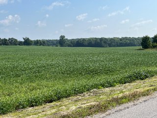 Property photo 61 - LAND AUCTION - 180+/- ACRES OFFERED IN 10 TRACT IN WILLIAMS COUNTY, OHIO