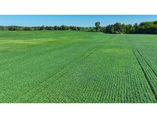 Property photo 10 - LAND AUCTION - 180+/- ACRES OFFERED IN 10 TRACT IN WILLIAMS COUNTY, OHIO