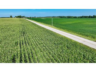 Property photo 11 - LAND AUCTION - 180+/- ACRES OFFERED IN 10 TRACT IN WILLIAMS COUNTY, OHIO