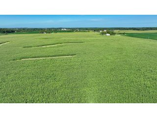 Property photo 12 - LAND AUCTION - 180+/- ACRES OFFERED IN 10 TRACT IN WILLIAMS COUNTY, OHIO
