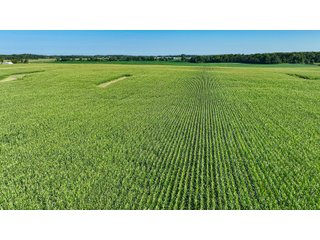 Property photo 13 - LAND AUCTION - 180+/- ACRES OFFERED IN 10 TRACT IN WILLIAMS COUNTY, OHIO