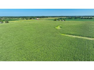 Property photo 14 - LAND AUCTION - 180+/- ACRES OFFERED IN 10 TRACT IN WILLIAMS COUNTY, OHIO