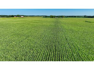 Property photo 15 - LAND AUCTION - 180+/- ACRES OFFERED IN 10 TRACT IN WILLIAMS COUNTY, OHIO