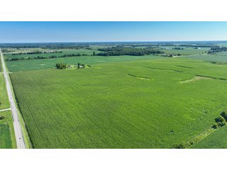 Property photo 16 - LAND AUCTION - 180+/- ACRES OFFERED IN 10 TRACT IN WILLIAMS COUNTY, OHIO