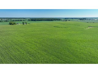 Property photo 17 - LAND AUCTION - 180+/- ACRES OFFERED IN 10 TRACT IN WILLIAMS COUNTY, OHIO