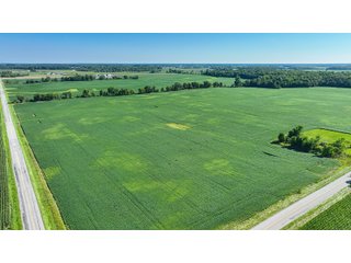 Property photo 18 - LAND AUCTION - 180+/- ACRES OFFERED IN 10 TRACT IN WILLIAMS COUNTY, OHIO