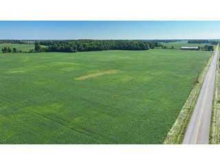Property photo 23 - LAND AUCTION - 180+/- ACRES OFFERED IN 10 TRACT IN WILLIAMS COUNTY, OHIO