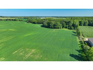 Property photo 6 - LAND AUCTION - 180+/- ACRES OFFERED IN 10 TRACT IN WILLIAMS COUNTY, OHIO
