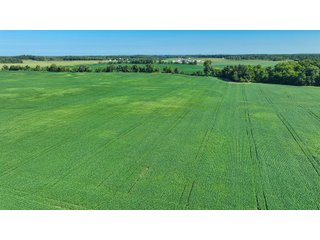 Property photo 7 - LAND AUCTION - 180+/- ACRES OFFERED IN 10 TRACT IN WILLIAMS COUNTY, OHIO
