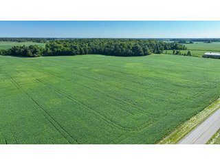 Property photo 8 - LAND AUCTION - 180+/- ACRES OFFERED IN 10 TRACT IN WILLIAMS COUNTY, OHIO