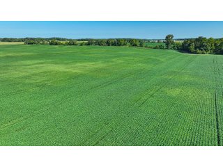 Property photo 9 - LAND AUCTION - 180+/- ACRES OFFERED IN 10 TRACT IN WILLIAMS COUNTY, OHIO