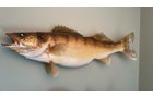 Property photo 103 - TIMED ONLINE ONLY PERSONAL PROPERTY AUCTION IN ALLEN COUNTY, INDIANA