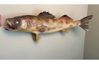 Property photo 115 - TIMED ONLINE ONLY PERSONAL PROPERTY AUCTION IN ALLEN COUNTY, INDIANA