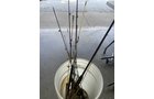 Property photo 176 - TIMED ONLINE ONLY PERSONAL PROPERTY AUCTION IN ALLEN COUNTY, INDIANA