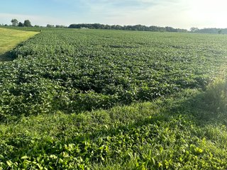 Property photo 13 - REAL ESTATE AUCTION - 55.5+/- ACRES, 2 LOCATIONS OFFERED IN 5 TRACTS IN ALLEN COUNTY, INDIANA