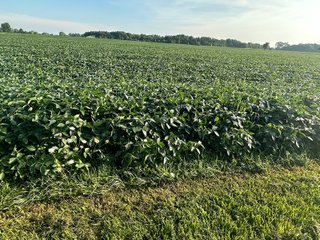 Property photo 15 - REAL ESTATE AUCTION - 55.5+/- ACRES, 2 LOCATIONS OFFERED IN 5 TRACTS IN ALLEN COUNTY, INDIANA