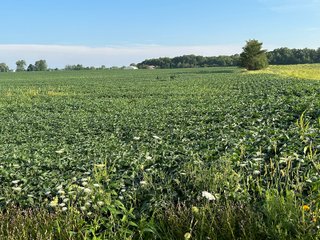 Property photo 16 - REAL ESTATE AUCTION - 55.5+/- ACRES, 2 LOCATIONS OFFERED IN 5 TRACTS IN ALLEN COUNTY, INDIANA