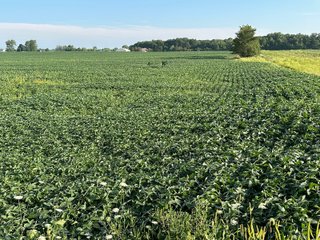 Property photo 18 - REAL ESTATE AUCTION - 55.5+/- ACRES, 2 LOCATIONS OFFERED IN 5 TRACTS IN ALLEN COUNTY, INDIANA