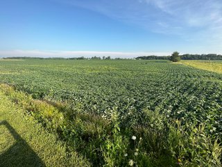 Property photo 19 - REAL ESTATE AUCTION - 55.5+/- ACRES, 2 LOCATIONS OFFERED IN 5 TRACTS IN ALLEN COUNTY, INDIANA