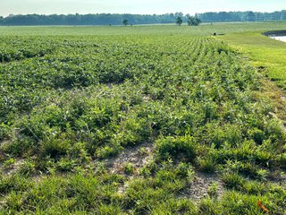 Property photo 24 - REAL ESTATE AUCTION - 55.5+/- ACRES, 2 LOCATIONS OFFERED IN 5 TRACTS IN ALLEN COUNTY, INDIANA