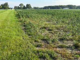 Property photo 27 - REAL ESTATE AUCTION - 55.5+/- ACRES, 2 LOCATIONS OFFERED IN 5 TRACTS IN ALLEN COUNTY, INDIANA